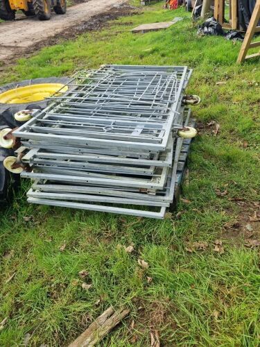 14 X CALF/SHEEP PENS