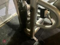ELITE MATRIX STEATED LEG CURL - 10