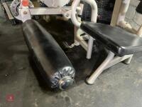 ELITE MATRIX STEATED LEG CURL - 15