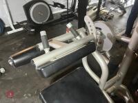 ELITE MATRIX STEATED LEG CURL - 23
