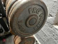 WEIGHT STAND & WEIGHTS - 5