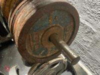 WEIGHT STAND & WEIGHTS - 6
