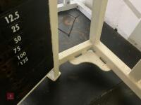 CYBEX COMMERCIAL AB CRUNCH MACHINE - 11