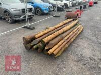 16 MIXED WOODEN STAKES - 5