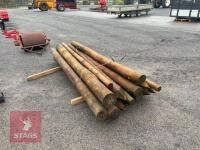 16 MIXED WOODEN STAKES - 7