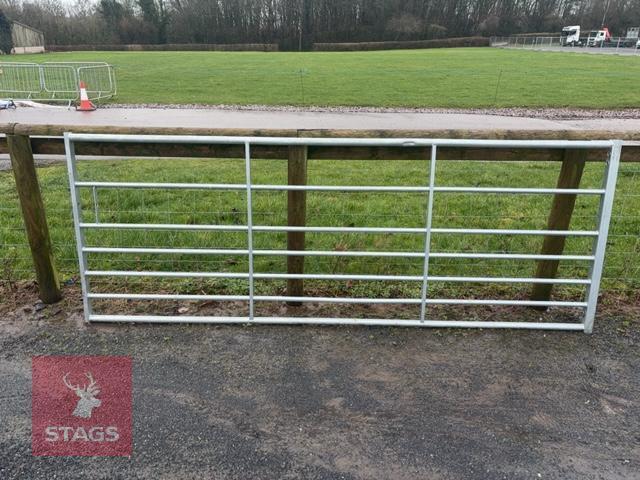 IAE 10' FIELD GATE