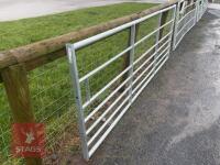 IAE 10' FIELD GATE - 3