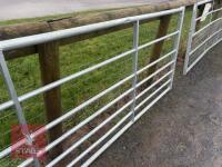 IAE 10' FIELD GATE - 6