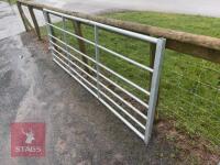 IAE 10' FIELD GATE - 8