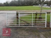 IAE 10' FIELD GATE - 2