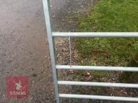 IAE 10' FIELD GATE - 6