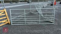 IAE 10' FIELD GATE
