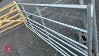 IAE 10' FIELD GATE - 3