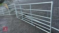 IAE 10' FIELD GATE - 2
