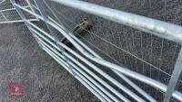 IAE 10' FIELD GATE - 5