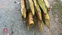 16 X 2.3M WOODEN STAKES - 6