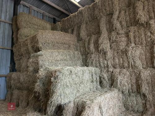 35 SQUARE BALES OF 2025 MEADOW HAY BIDS - PER BALE