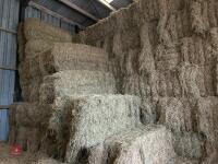 35 SQUARE BALES OF 2025 MEADOW HAY BIDS - PER BALE