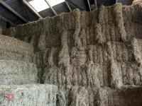 35 SQUARE BALES OF 2025 MEADOW HAY BIDS - PER BALE - 2