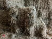 35 SQUARE BALES OF 2025 MEADOW HAY BIDS - PER BALE - 3