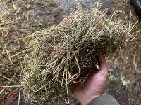 35 SQUARE BALES OF 2025 MEADOW HAY BIDS - PER BALE - 6