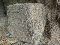 37 SQUARE BALES OF 2025 MEADOW HAY - BIDS PER BALE - 2