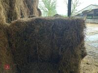 37 SQUARE BALES OF 2025 MEADOW HAY - BIDS PER BALE - 4