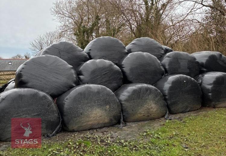 75 ROUND BALES OF 2025 SILAGE - BIDS PER BALE