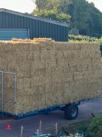 100 CONVENTIONAL BALES OF WHEAT STRAW - BIDS FOR THE GROUP