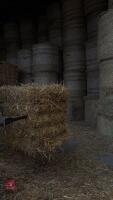 25 SQUARE BALES OF 2025 OAT STRAW - BIDS PER BALE - 4