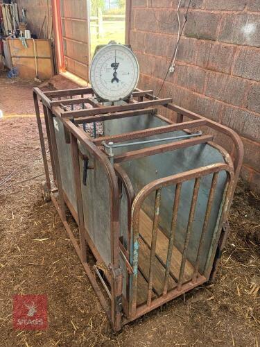 SHEEP/PIG WEIGHING CRATE