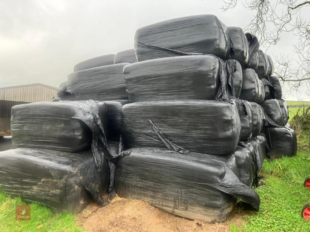 25 RECTANGULAR BALES OF 2025 SILAGE - BIDS PER BALE
