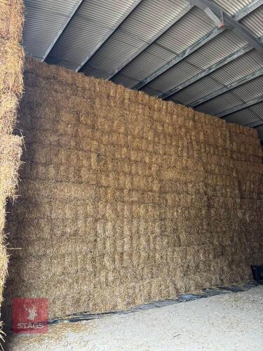 100 CONVENTIONAL BALES OF WHEAT STRAW - BIDS FOR THE GROUP