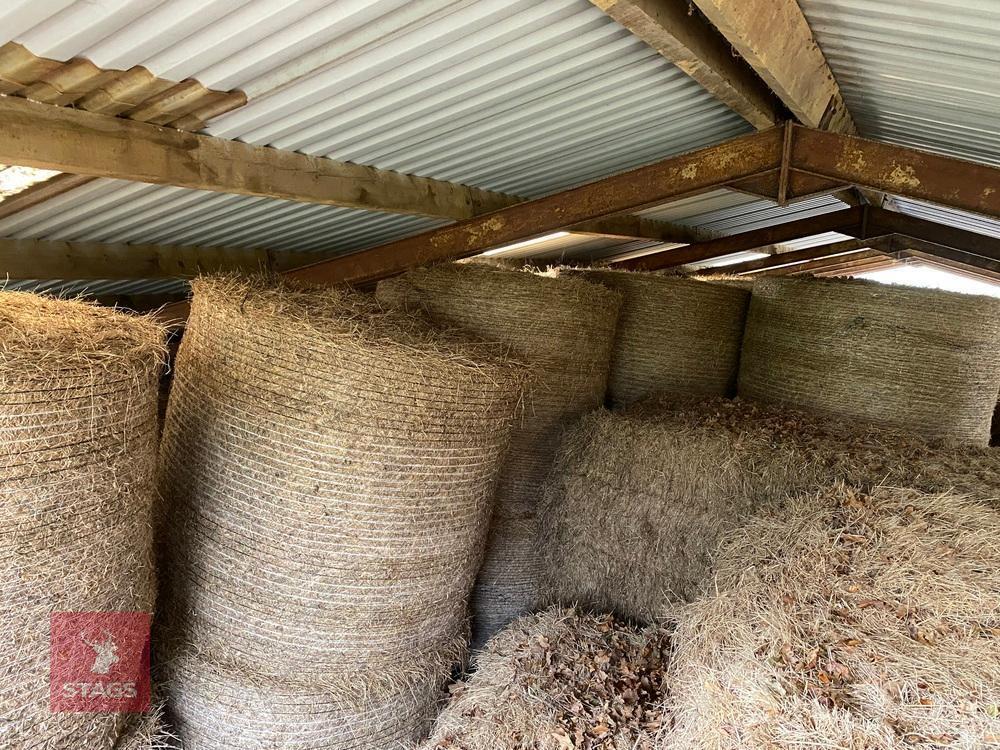 50 ROUND BALES OF 2025 HAY - BIDS PER BALE