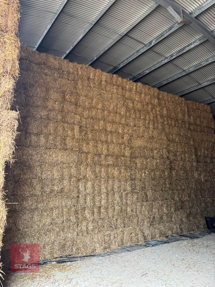 200 CONVENTIONAL BALES OF WHEAT STRAW - BIDS FOR THE GROUP