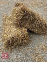200 CONVENTIONAL BALES OF WHEAT STRAW - BIDS FOR THE GROUP - 3