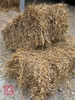 200 CONVENTIONAL BALES OF WHEAT STRAW - BIDS FOR THE GROUP - 2