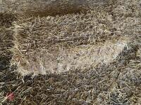 50 CONVENTIONAL BALES OF STRAW - BIDS FOR THE GROUP - 3