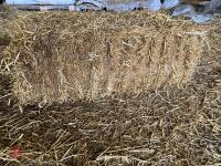 50 CONVENTIONAL BALES OF STRAW - BIDS FOR THE GROUP - 4