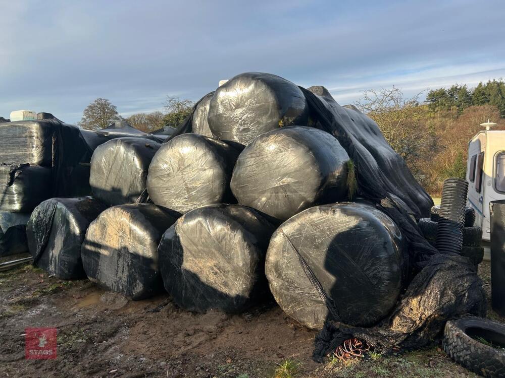 46 ROUND BALES OF 2024 HAYLAGE - BIDS PER BALE