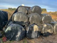46 ROUND BALES OF 2024 HAYLAGE - BIDS PER BALE - 2