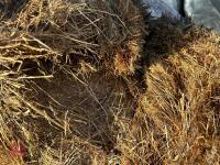 46 ROUND BALES OF 2024 HAYLAGE - BIDS PER BALE - 4