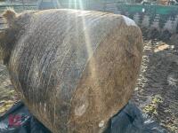 46 ROUND BALES OF 2024 HAYLAGE - BIDS PER BALE - 7