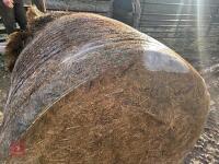 46 ROUND BALES OF 2024 HAYLAGE - BIDS PER BALE - 8