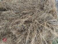 46 ROUND BALES OF 2024 HAYLAGE - BIDS PER BALE - 10