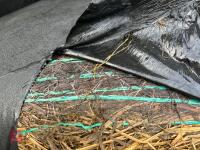 40 ROUND BALES OF 2025 SILAGE - BIDS PER BALE - 6