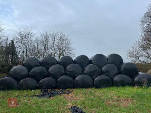 40 ROUND BALES OF 2025 SILAGE - BIDS PER BALE