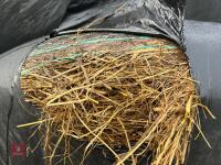 40 ROUND BALES OF 2025 SILAGE - BIDS PER BALE - 5