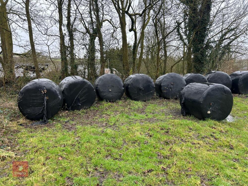 10 ROUND BALES OF 2025 SILAGE - BIDS PER BALE