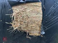 10 ROUND BALES OF 2025 SILAGE - BIDS PER BALE - 11